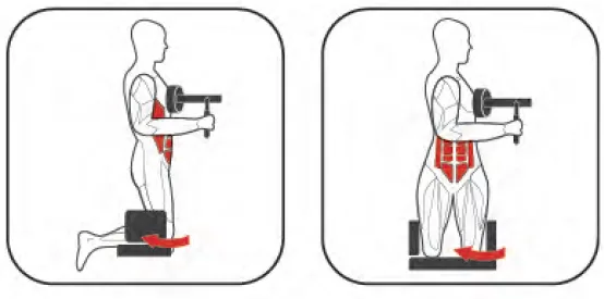 Ironmaster IRFB30 Rotari Torso gép