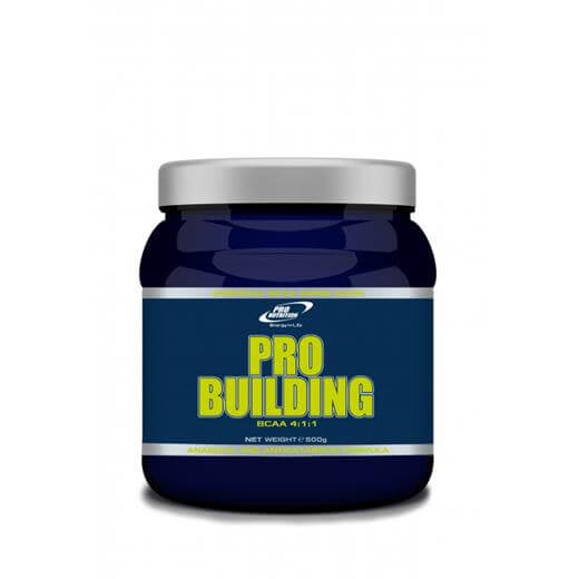 Pro Nutrition Pro Building 500 g